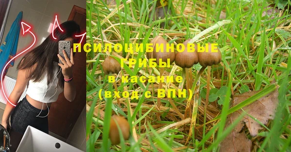 MESCALINE Алзамай