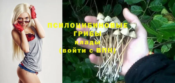 трава Алексин
